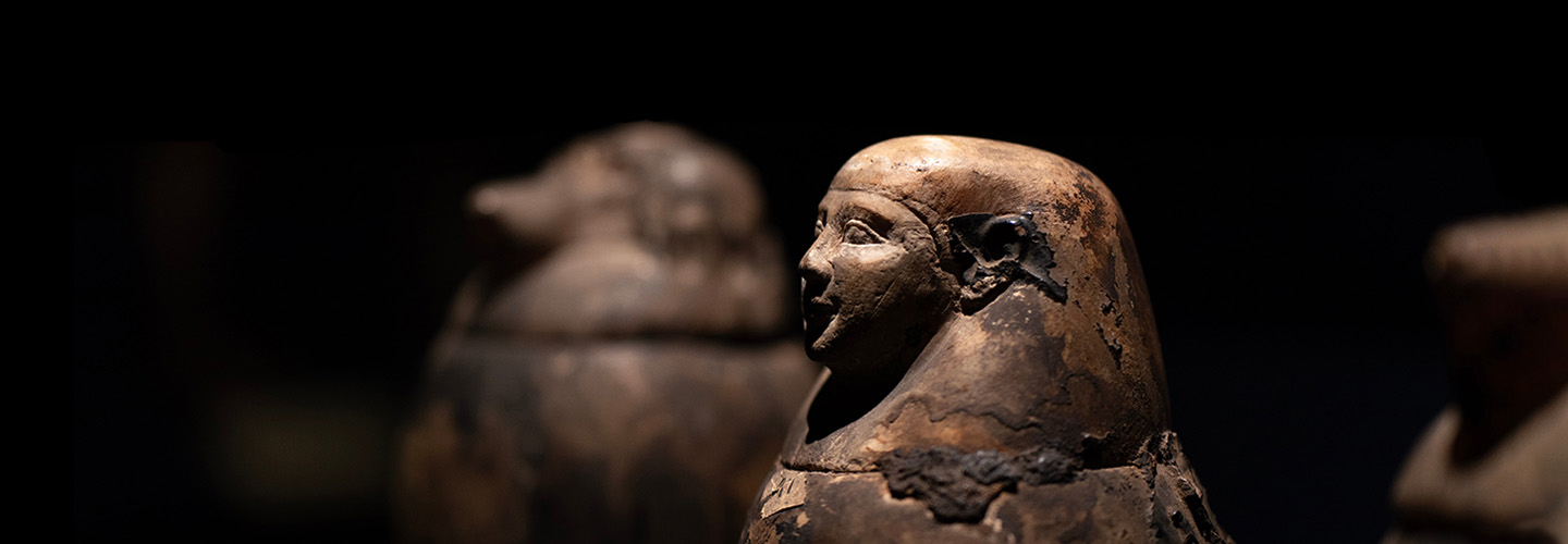 Reveal museum use case